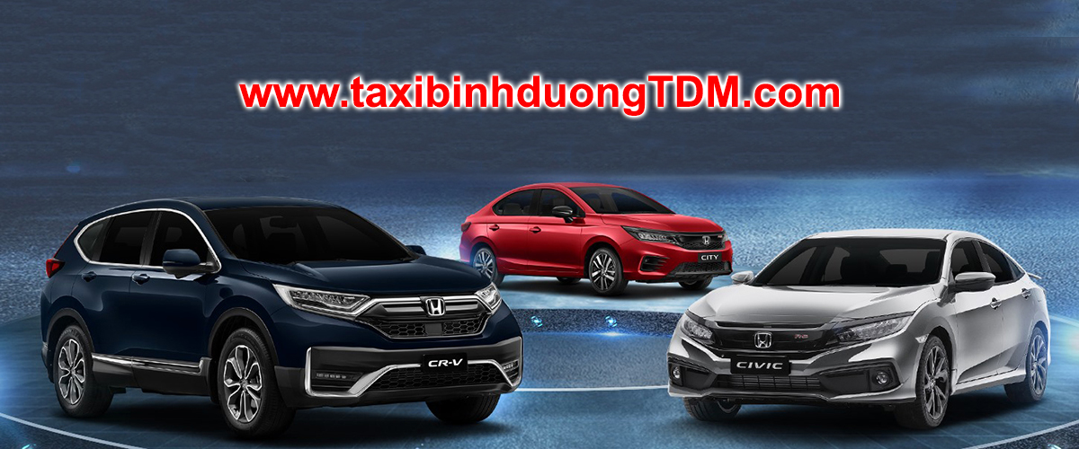 Taxi Binh Duong Thu Dau Mot 3